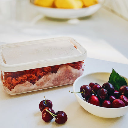 The Granita Container Kit